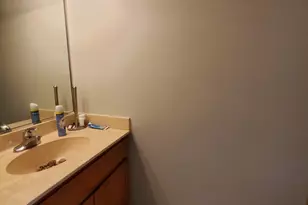 5620 Feather Creek Rd, Matteson, IL 60443 - Photo 19