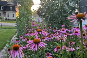 330 N Birch St, Waterman, IL 60556 - Photo 33