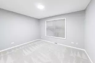 910 Shetland Ct, Grayslake, IL 60030 - Photo 23