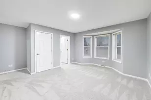 910 Shetland Ct, Grayslake, IL 60030 - Photo 17