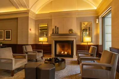 25 E Superior Street #705, Chicago, IL 60611 - Photo 25