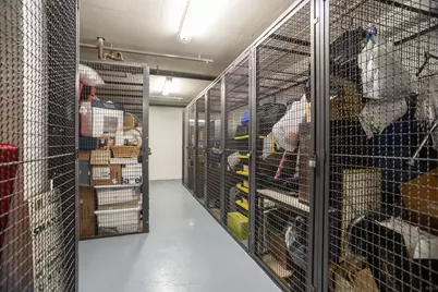 25 E Superior Street #705, Chicago, IL 60611 - Photo 31