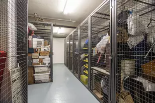 25 E Superior St, Chicago, IL 60611 - Photo 31