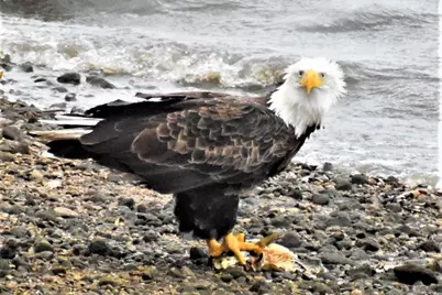 4713 E Lake Shore Drive, Wonder Lake, IL 60097 - Photo 37