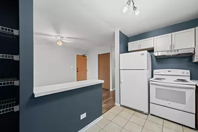 1324 N Geneva Drive #3B, Palatine, IL 60074 - Photo 9