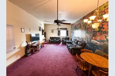 203 W Madison Street, Pontiac, IL 61764 - Photo 5