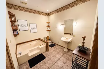 203 W Madison Street, Pontiac, IL 61764 - Photo 19