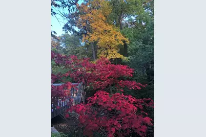 11515 Burr Oak Lane, Burr Ridge, IL 60527 - Photo 73