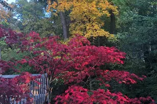 11515 Burr Oak Ln, Burr Ridge, IL 60527 - Photo 73