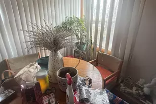 982 W Villa Dr, Des Plaines, IL 60016 - Photo 7