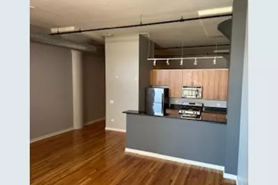 1224 W Van Buren Street #511, Chicago, IL 60607 - Photo 3