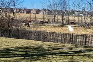 13138 S Lake Mary Dr, Plainfield, IL 60585 - Photo 15