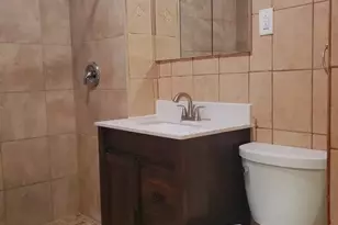 1536 W 17th St, Chicago, IL 60608 - Photo 25