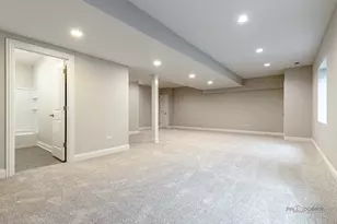 113 Roman Ln, Hawthorn Woods, IL 60047 - Photo 31