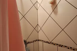 10749 S Ave J, Chicago, IL 60617 - Photo 11