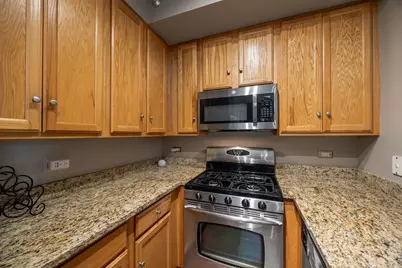 3232 N Halsted Street #D407, Chicago, IL 60657 - Photo 13