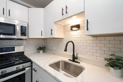 1 E Scott Street #2002, Chicago, IL 60610 - Photo 7