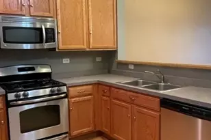 2332 Overlook Ct, Naperville, IL 60563 - Photo 9