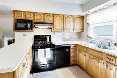 5237 Conrad Street, Skokie, IL 60077 - Photo 9