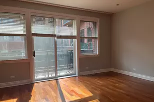 334 N Jefferson St, Chicago, IL 60661 - Photo 13