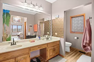 11042 Mayflower Ln, Orland Park, IL 60467 - Photo 25