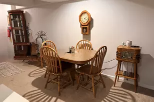 804 Deer Path Ln, Elwood, IL 60421 - Photo 19