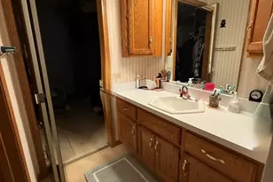 804 Deer Path Ln, Elwood, IL 60421 - Photo 13