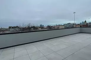 719 N Elizabeth St, Chicago, IL 60642 - Photo 27