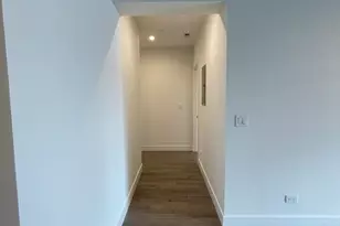 719 N Elizabeth St, Chicago, IL 60642 - Photo 25