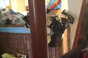 6062 S 74th Ct, Summit, IL 60501 - Photo 11