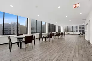 222 E Pearson St, Chicago, IL 60611 - Photo 19