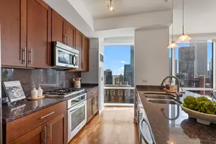505 N McClurg Ct, Chicago, IL 60611 - Photo 13