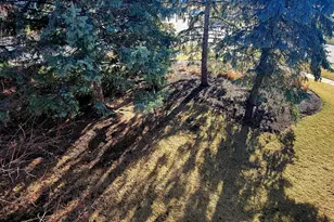 345 Thornwood Way, South Elgin, IL 60177 - Photo 35