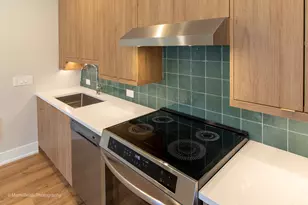 6749 S Langley Ave, Chicago, IL 60637 - Photo 29