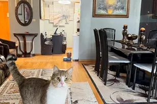 100 Deborah Ln, Wheeling, IL 60090 - Photo 9