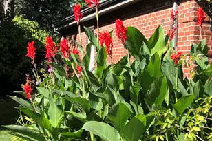 500 Buckingham Pl, Downers Grove, IL 60516 - Photo 43