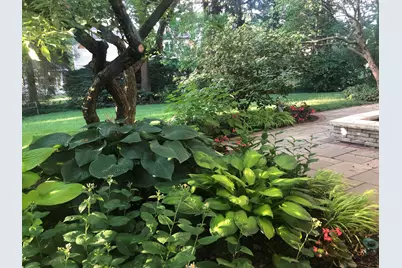 500 Buckingham Place, Downers Grove, IL 60516 - Photo 39