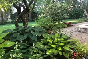 500 Buckingham Pl, Downers Grove, IL 60516 - Photo 39