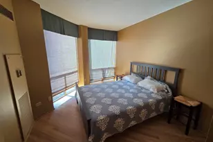 222 N Columbus Dr, Chicago, IL 60601 - Photo 9