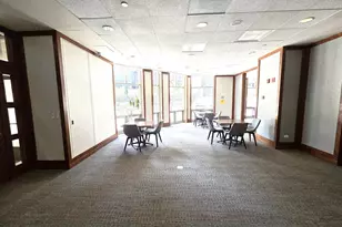 222 N Columbus Dr, Chicago, IL 60601 - Photo 27