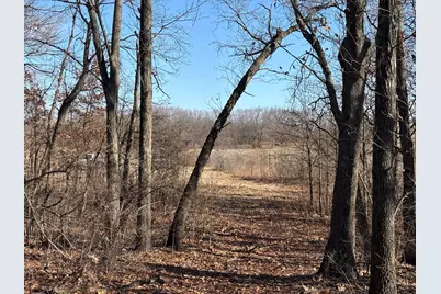 10000 4000S Road, Saint Anne, IL 60964 - Photo 5