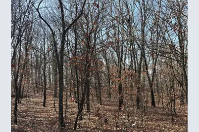 10000 4000S Road, Saint Anne, IL 60964 - Photo 3