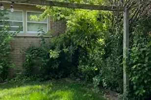 7736 W Winona St, Norridge, IL 60706 - Photo 3