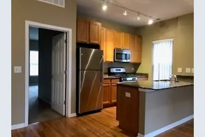 343 E 25th Place #18B, Chicago, IL 60616 - Photo 3