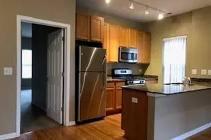 343 E 25th Pl, Chicago, IL 60616 - Photo 3