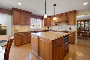 262 Mulberry Rd, Frankfort, IL 60423 - Photo 19