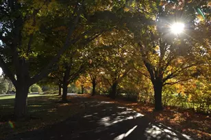 35 Eagle View Ln, Oswego, IL 60543 - Photo 41