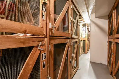 33 E Cedar Street #15F, Chicago, IL 60611 - Photo 25