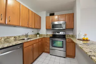 33 E Cedar St, Chicago, IL 60611 - Photo 13