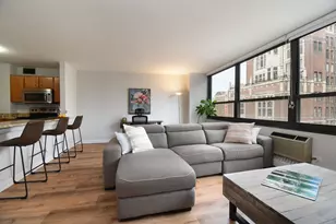 33 E Cedar St, Chicago, IL 60611 - Photo 5